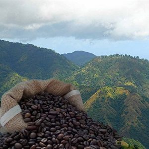 Jamaican Blue Mountain Goldcup Coffee Beans 100% Arabica Bean (Beans, 100g)